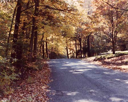 Timber Road, Mt. Gretna PA